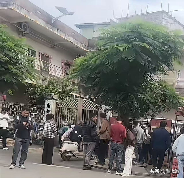 全红婵又回家看爷爷奶奶了！背着LV包去“炸街”，妹妹染了新头发