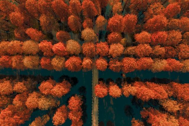 再不去就亏了！恩施这5个秋日秘境，第一个就让你惊艳到说不出话