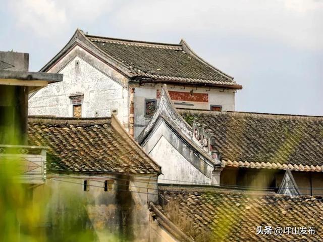 【网文】深圳风向：未来的坪山可能让你刮目相看