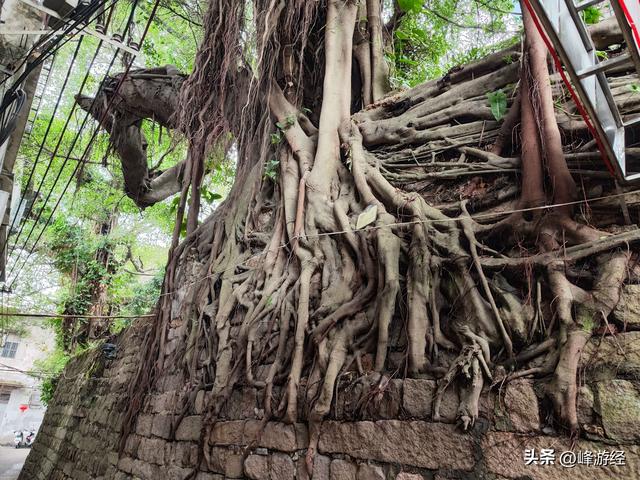 揭阳禁城，曾经榕城县衙所在，这里藏着县治选址玉滘村的秘密