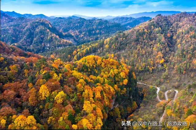 免票!半价!汉中这处红叶绝佳观赏期已至,周末快冲!