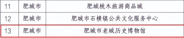 喜报！肥城市老城历史博物馆获评“泰安市新型公共文化空间”