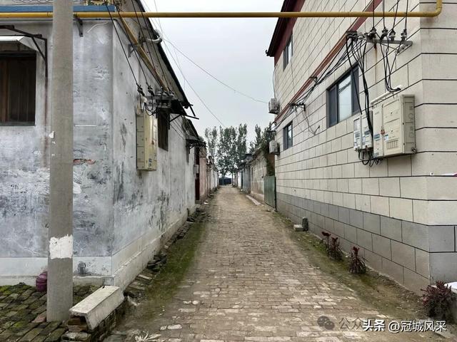 冠县乡韵·桑阿镇野场村