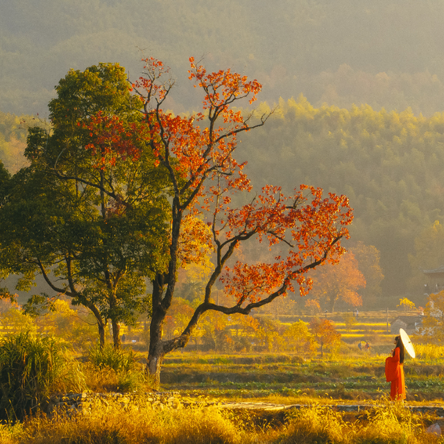 若你问深秋最该去哪里偷段闲？答案，就藏在黟县