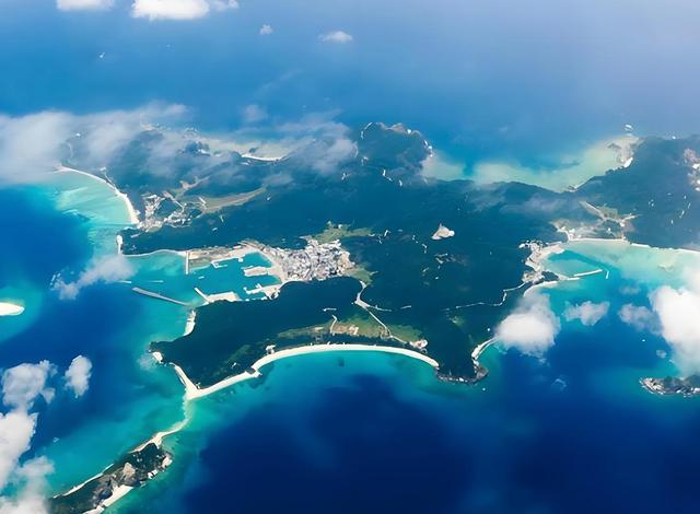 特朗普递刀，高市迎来5路强援	，日本开始报复，第一把火烧向东海