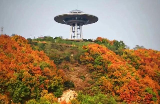 跟着金超游金普！宝藏路线解锁金普多面魅力！