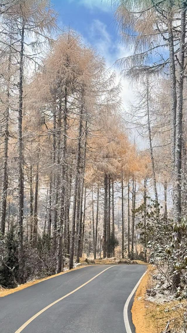 秋假第二天——邂逅毕棚沟的晚秋