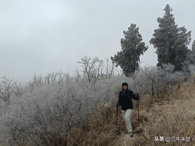 无为在歧路，何处寻雾凇