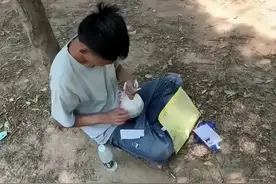 我们的学校不能让“河南小杰”再出现图片