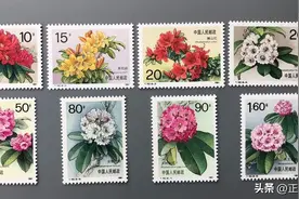 新版特种邮票（T字邮票）最新价格图片