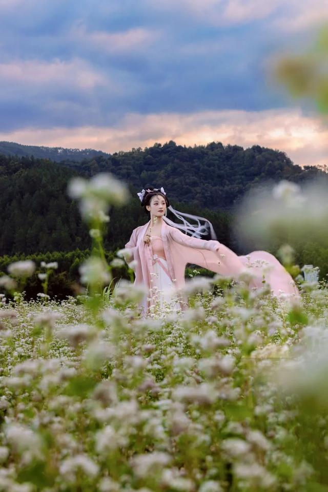 从千年禅钟到荞麦“雪”海，跟着韶关这条治愈秋季美景线路游，超出片！