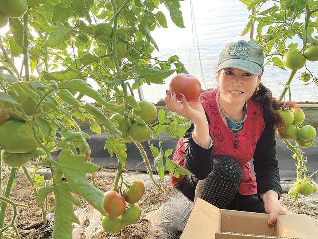 包头：一城烟火暖 四季文旅新