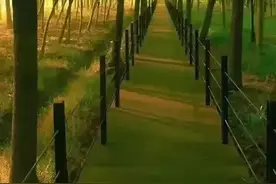 视觉盛宴，让你大饱眼福图片