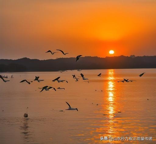 当你不再执着于完美，你会发现，生活原本的模样，就已经足够美好