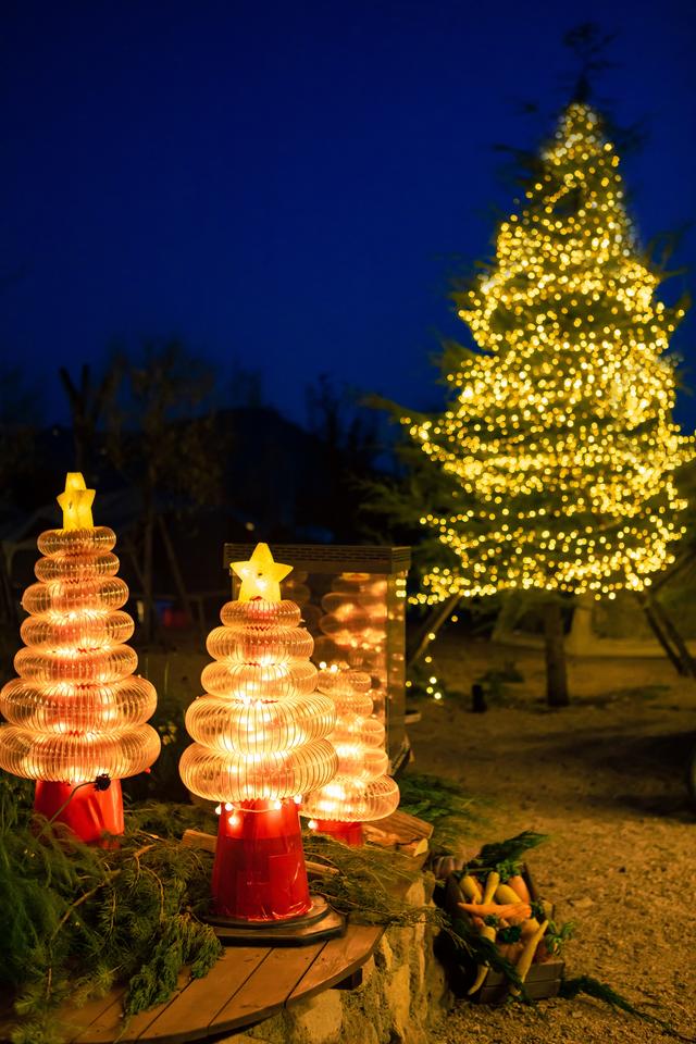 青岛宝藏露营地~私藏的野奢营地乌托邦！