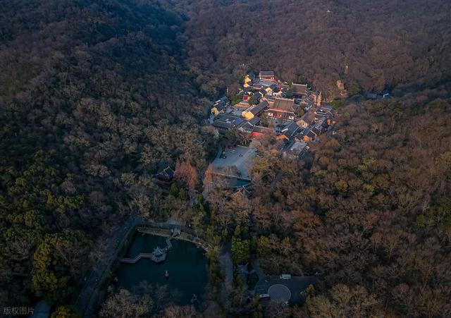 石象路银杏黄了！秋日南京必走的几条经典路线