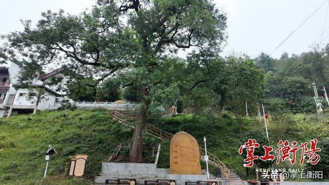 我为峰途丨岐山：凤形山势隐葱茏，登高此境忘尘缨