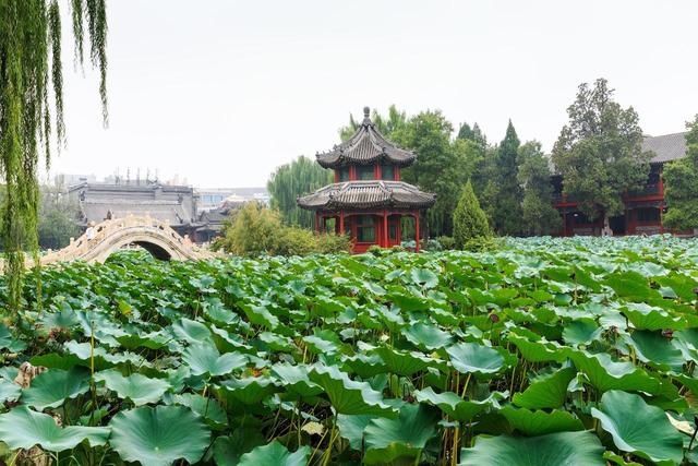 直隶心脏漫游记：在总督衙署、千年莲池与老街烟火里，遇见保定