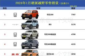 太强了，24年1月硬派越野销量，豹5第2，卫士第6，牧马人未进前10图片