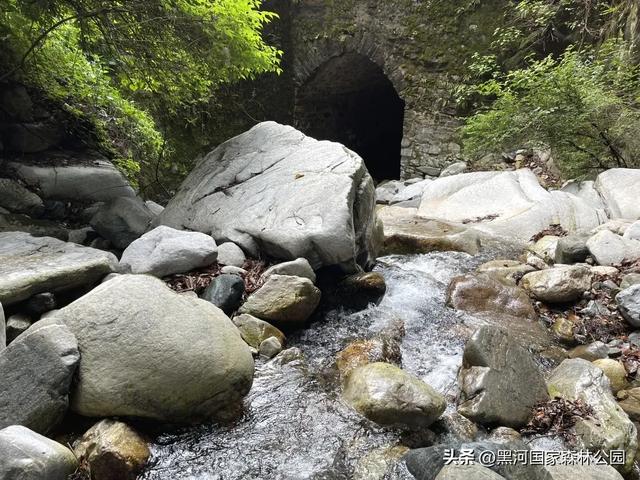 高温别怕!进山纳凉来黑河,山水环绕凉快极了!