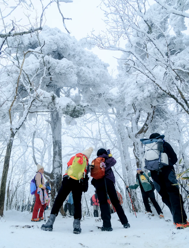 不必再问！已经被冬天的沂山迷倒了