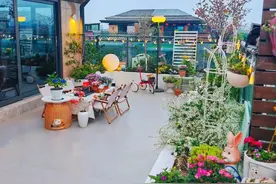 入手一套带露台的顶复真的不亏！翻新后改休闲花房，那叫一个享受图片