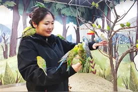 太原：“到店撸宠”渐成时尚 受到不少年轻人欢迎图片