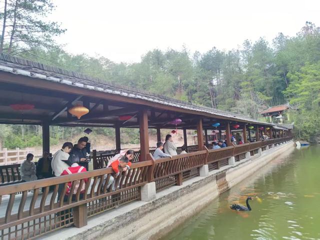 【文旅发展跨越年】连城冠豸山：山水年味浓 客流人气旺