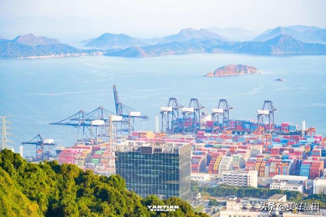 冬日限定！这里的落羽杉美出电影质感