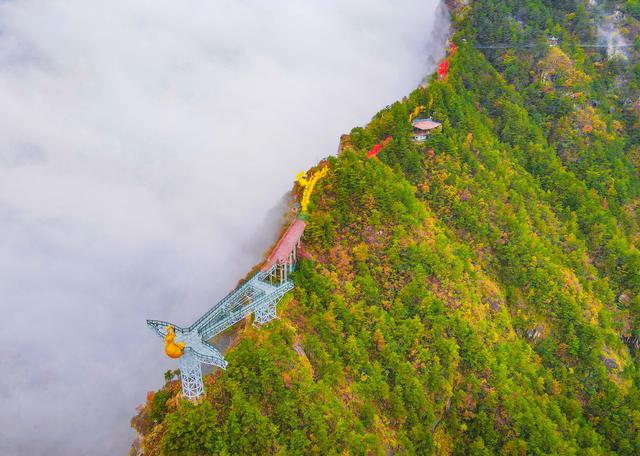 半山云海半山秋色