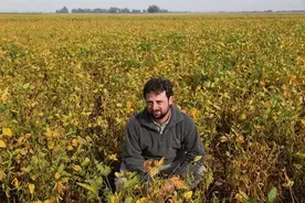 阿根廷：剥不完的花生、榨不完的油，喝不完的红酒、吃不完的肉图片