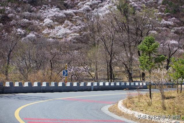 周末撒欢！八条京郊宝藏自驾公路带你赏秋