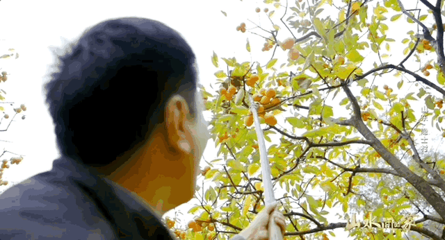 秋天的潍坊，是谁惊艳你的朋友圈？