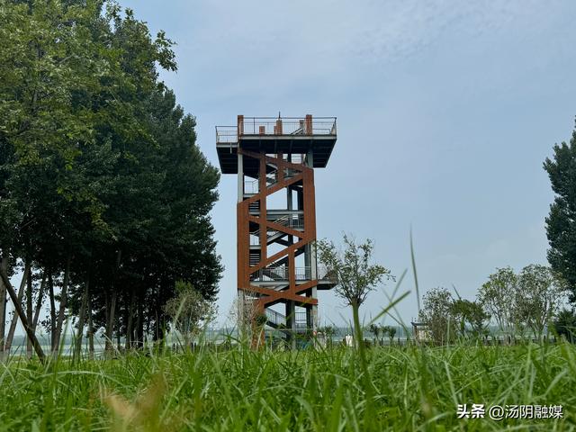 以绿意为帖，赴一场生态之约吧！