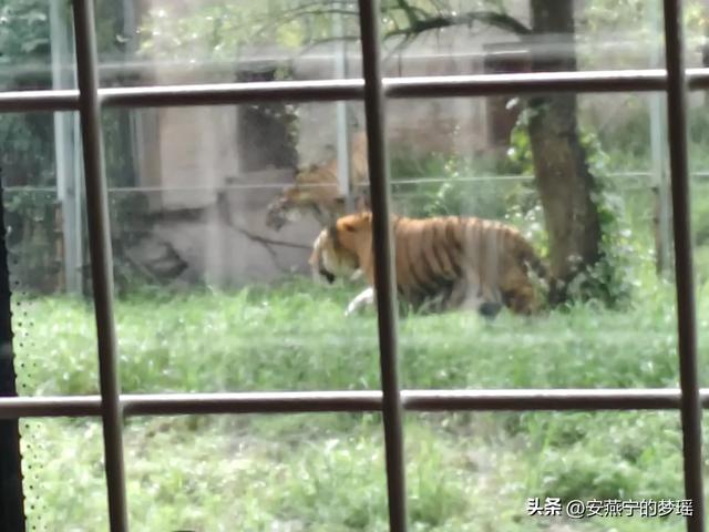走进长春