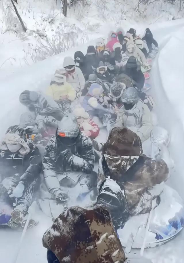 没看过雪的南方人，付费流放宁古塔