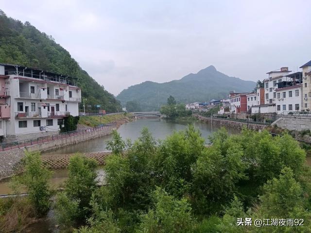 西峡二郎坪镇街头矗立一棵千年银杏，虽根部裸露，但依然茂盛