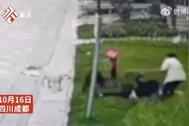 四川成都保洁阿姨为女童挡狗获网友点赞:善良又勇敢 物业：会有奖励图片