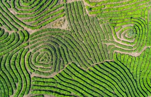 【铸牢中华民族共同体意识】绿春乡村旅居蝶变：边境小城用生态与文化解锁“远方”