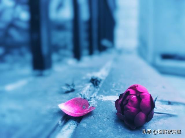 分手后，怎么挽回女朋友？