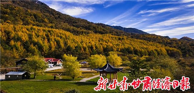 【在线访谈】以“大景区+全域乡村游”书写文旅融合发展新篇章——访陇南市文化广电和旅游局负责人