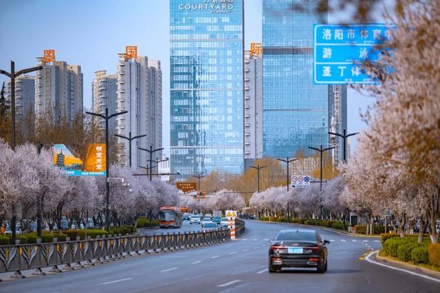 太期待了！接下来的洛阳，是这样的...