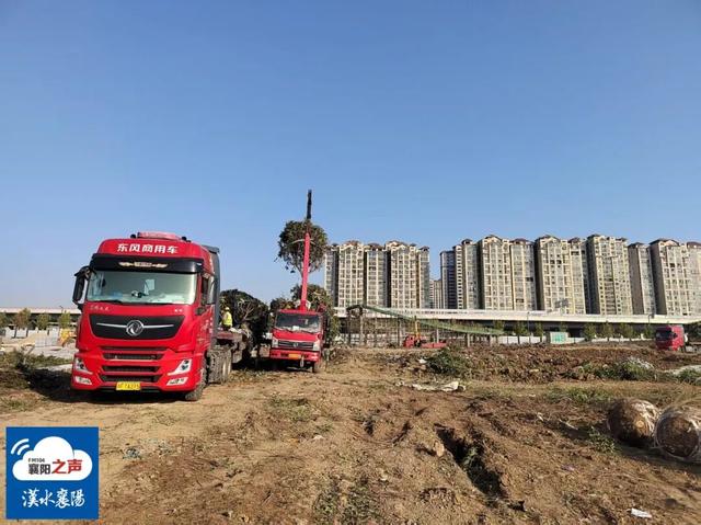 春节开放！襄阳规模最大自然湖泊公园……