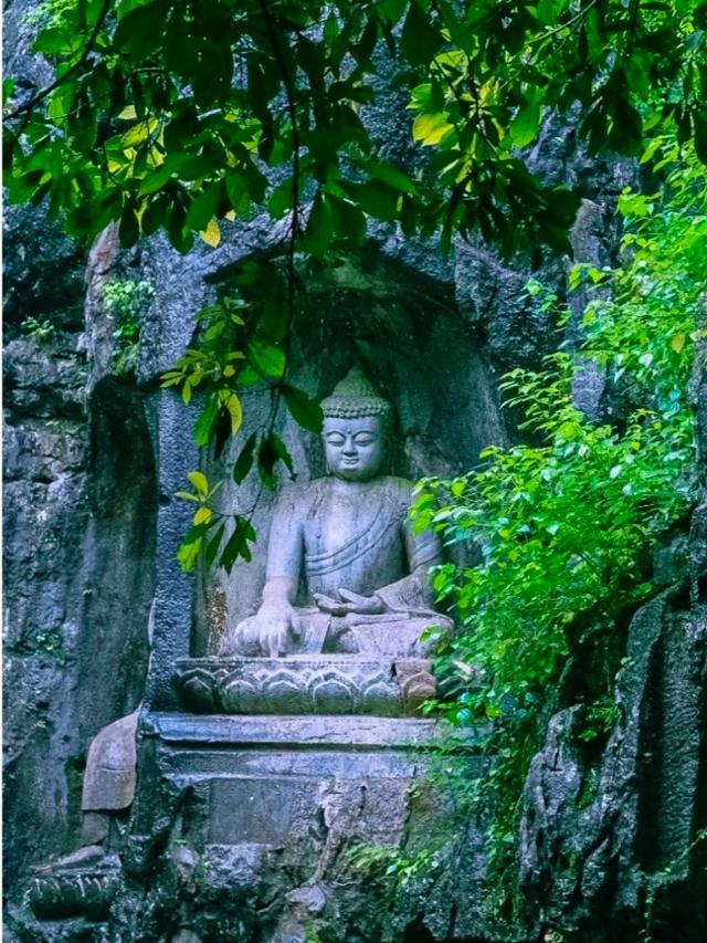 从“圈地收费’到‘还景于民”，多个景区已全免门票，你怎么看？