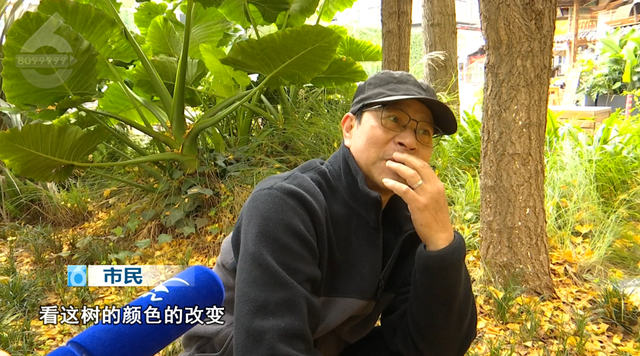 谁懂啊！昆明把冬天过成童话：观鸥、赏银杏、逛市集还能炫咖啡！