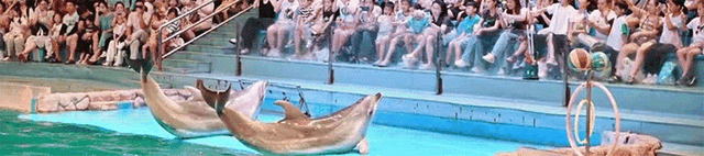 安徽芜湖：鸠江官陡门开集了！数载相思今朝圆，且把烟火带回还