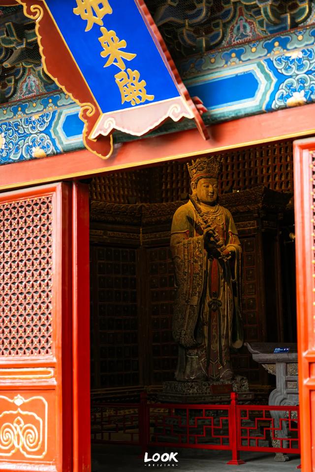 北京最新秋日打卡地 · 再看要等明年