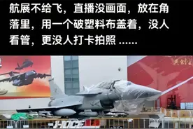 歼10霸屏西方头条！德媒惊呼'东方猛禽'，美专家却酸了。图片