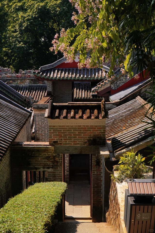 红叶渐染！黄埔香雪亲子徒步攻略：7公里缓坡路线+古书院打卡