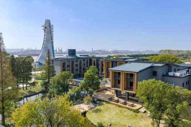 这样的张家港，我“All in”了！